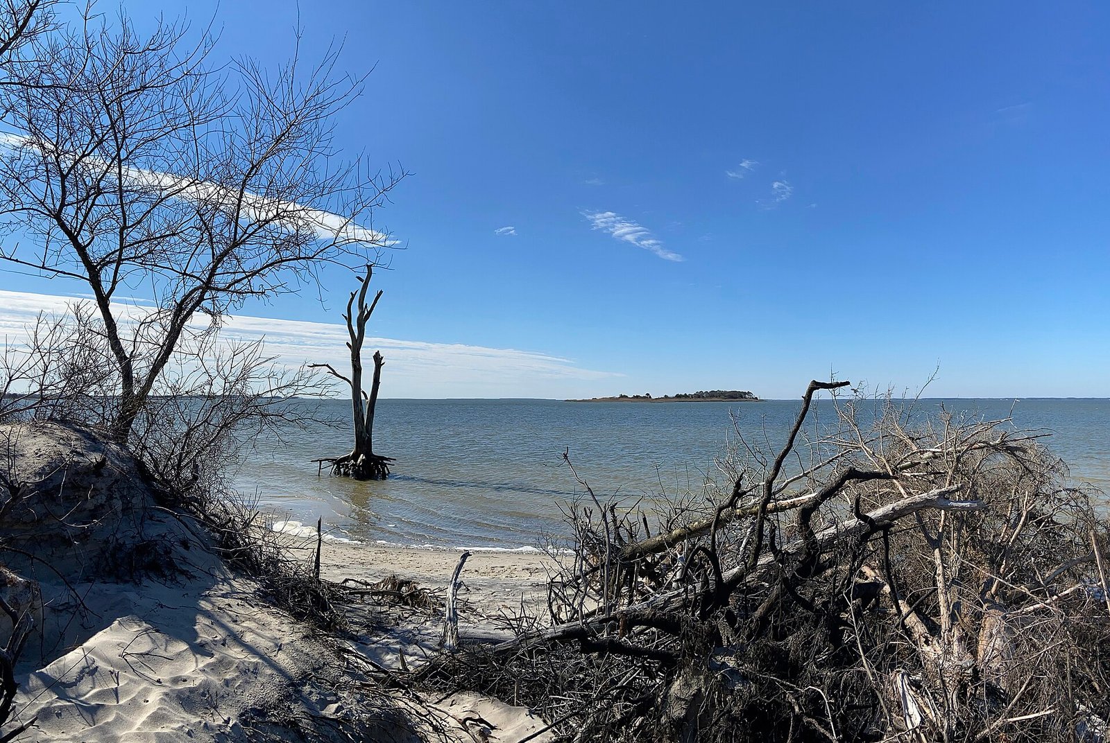 Assateague Beach