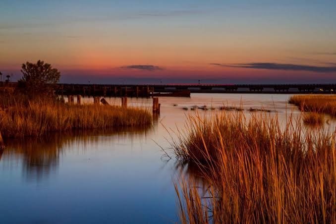 Marsh sunset near the causeway